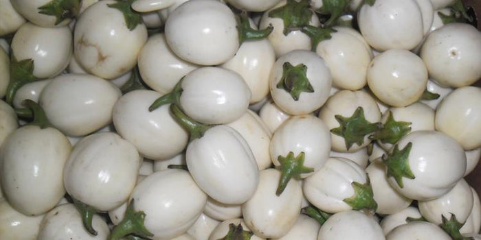 White Garden Eggs (Aubergines) Uganda